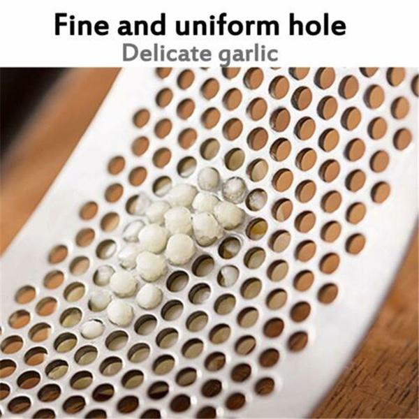 Stainless Steel Garlic Presser / Crusher (Multicolor)
