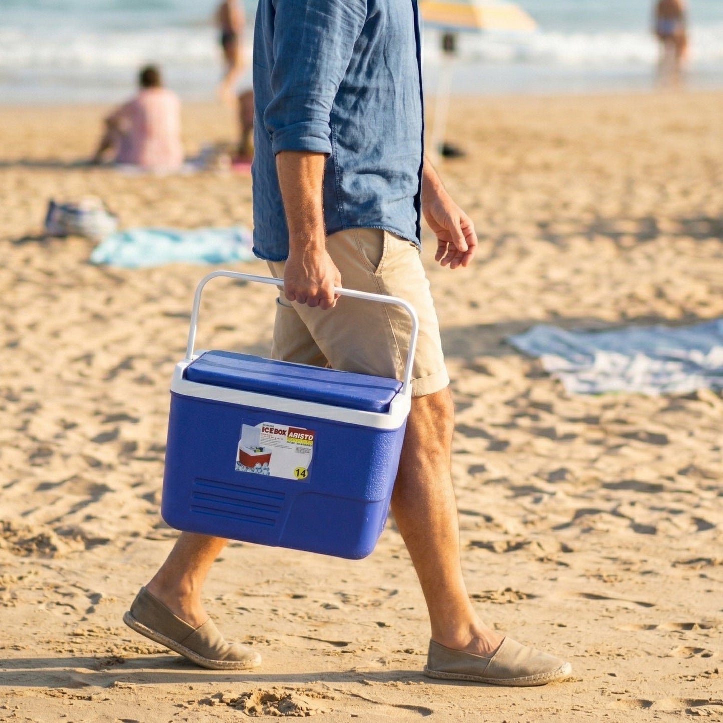 Compact Insulated Ice Box Cooler (1 Pc, 14 Ltr, 35x24 Cm)