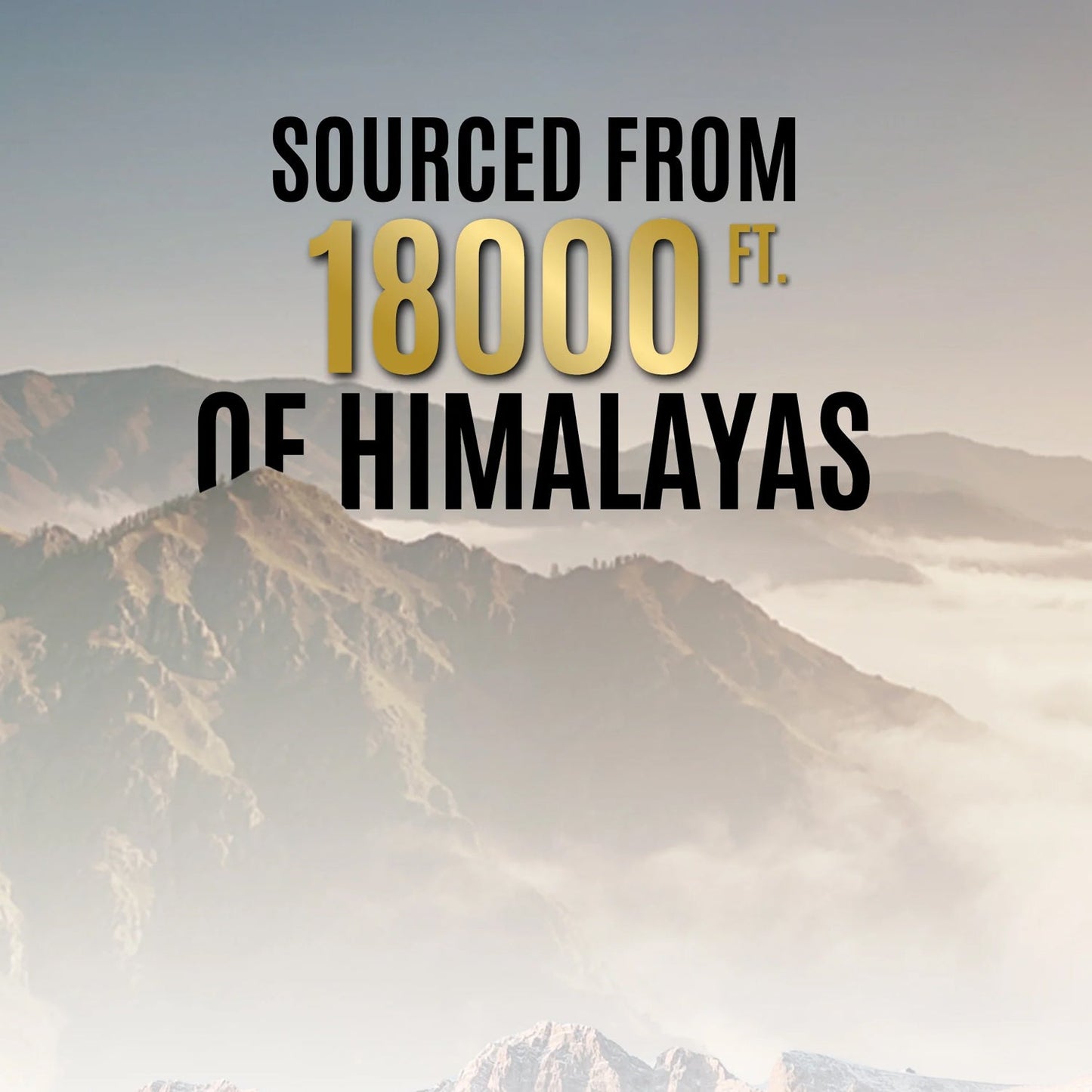 OG Wellness Pure Himalayan Shilajit Resin (20 GM / 1 Pc)