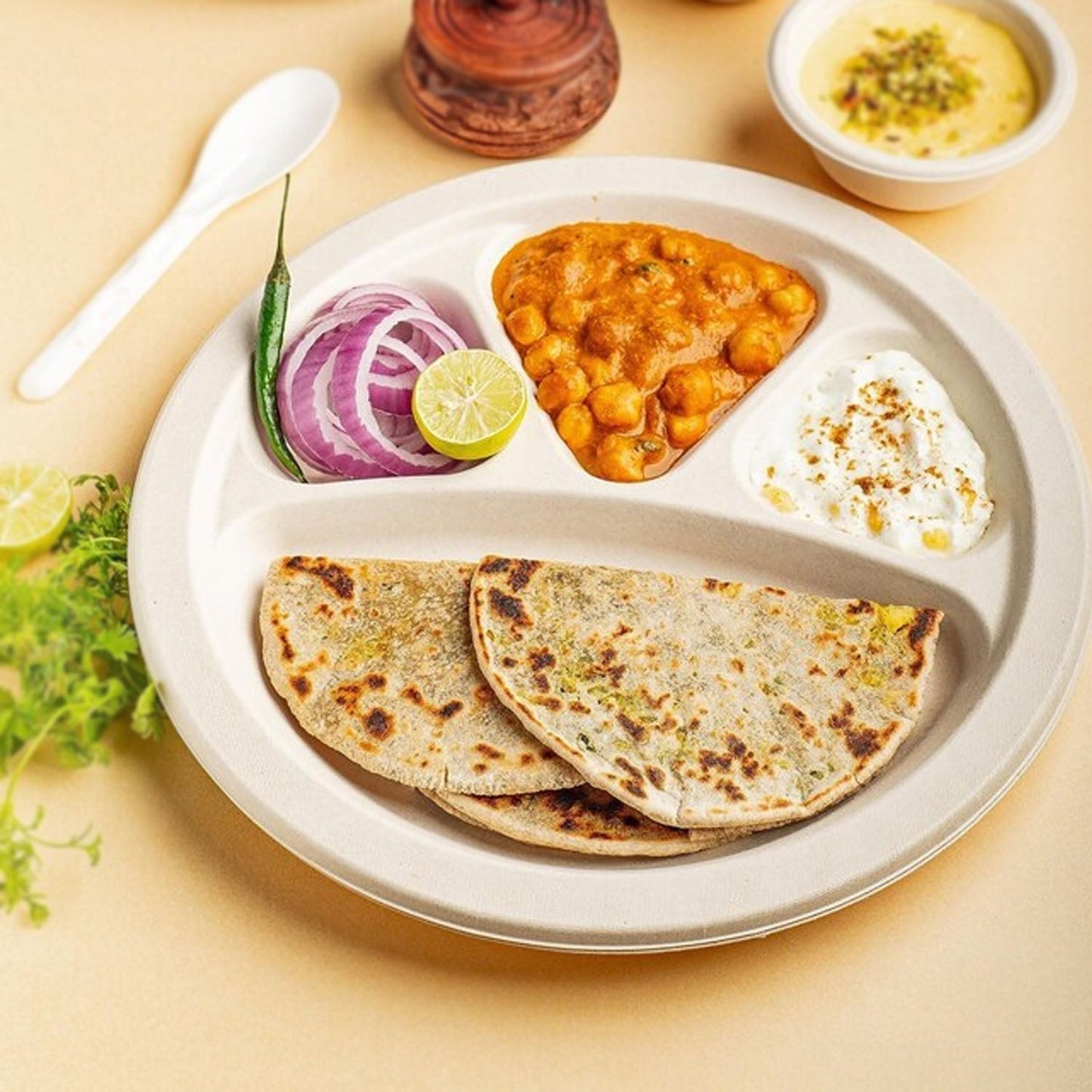 Vegnar 4 Compartment Disposable Food Serving Plate Set (10 Pc)