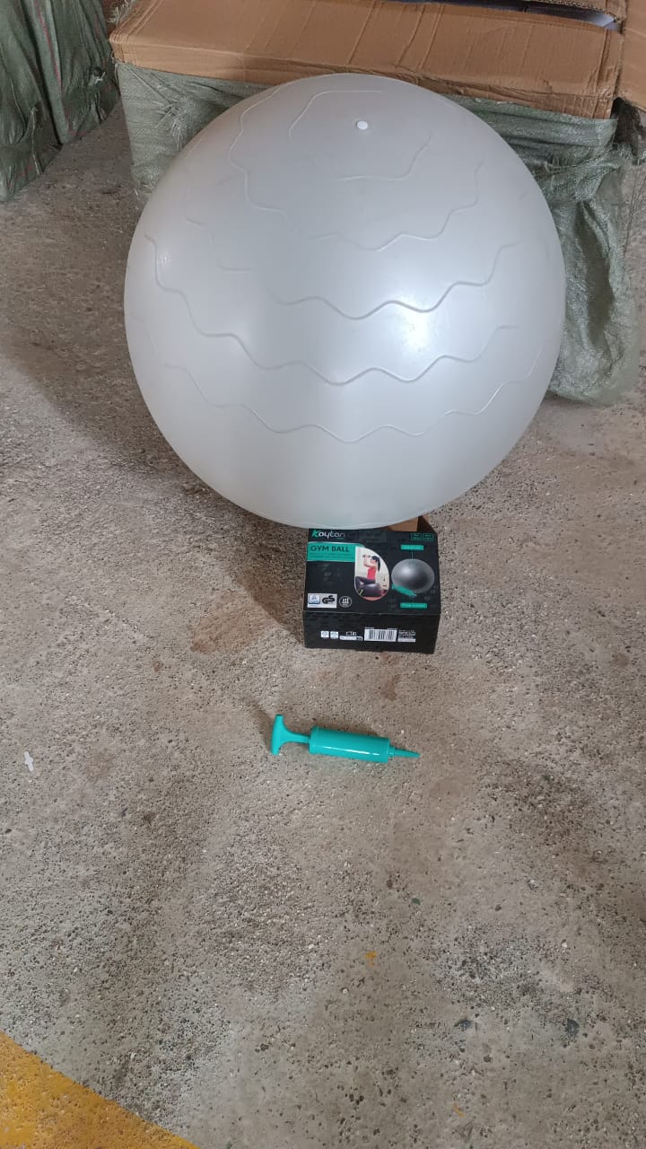 ðŸŽ ðŸŽ Heavy Duty Gym Ball Non-Slip Stability Ball with Foot Pump for Total Body Fitness (Copy)
