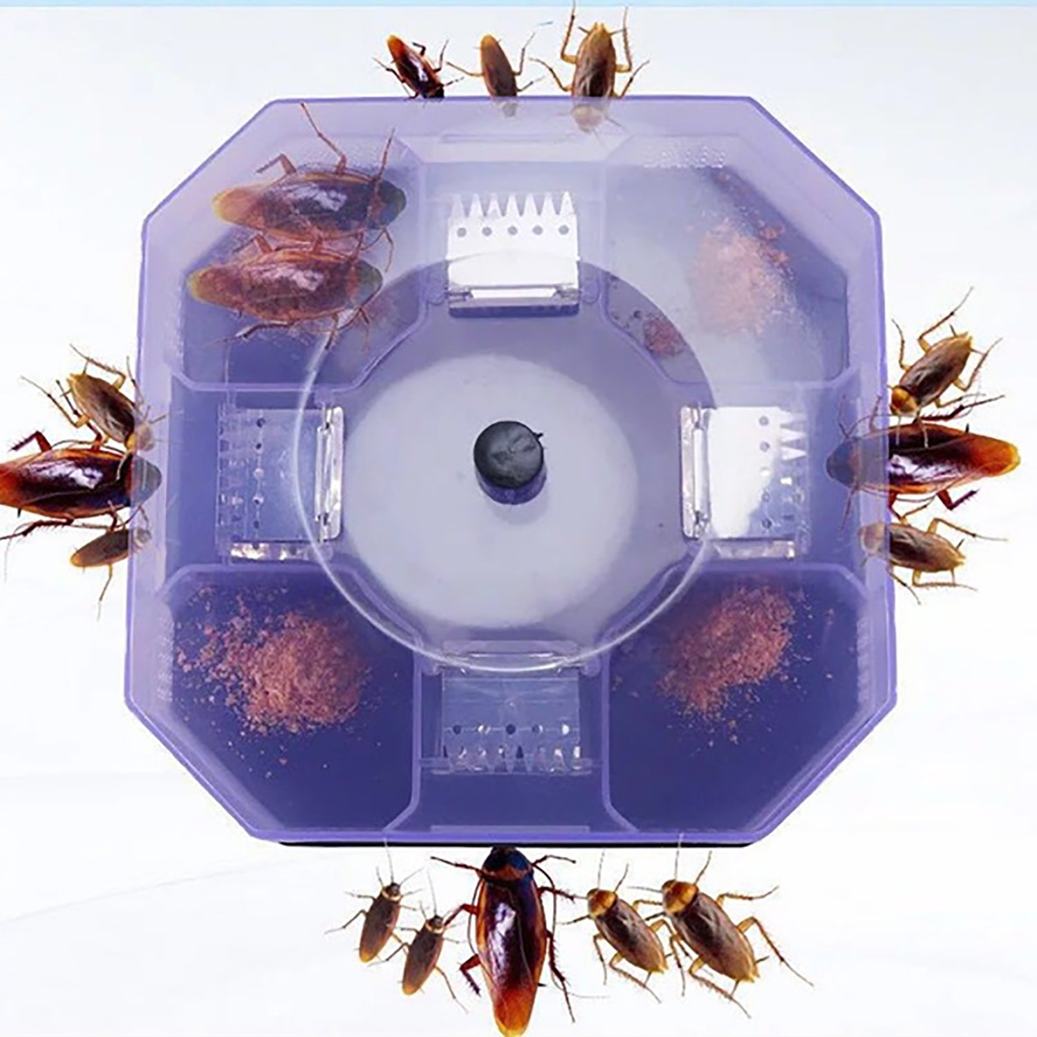 Cockroach Traps Box Cockroach Bug Roach Catcher Cockroach Killer