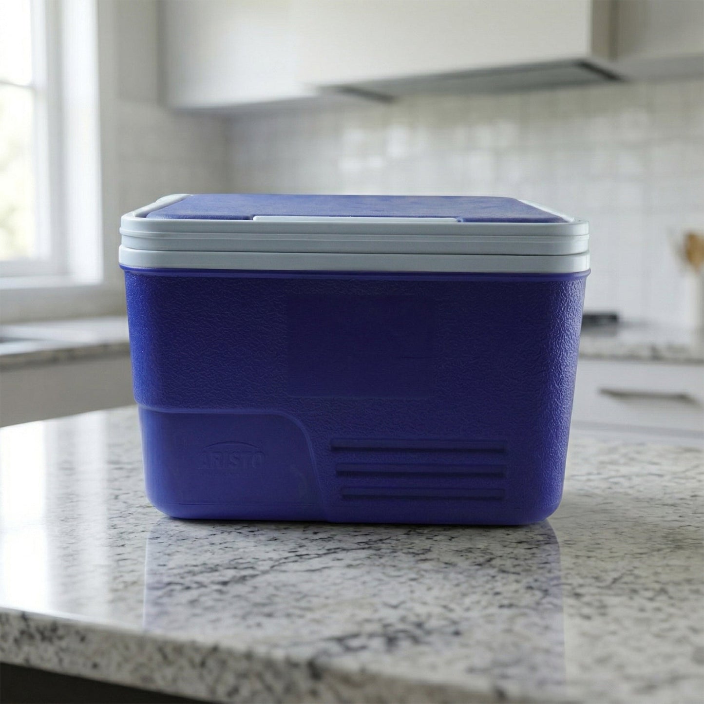 Compact Insulated Ice Box Cooler (1 Pc, 14 Ltr, 35x24 Cm)