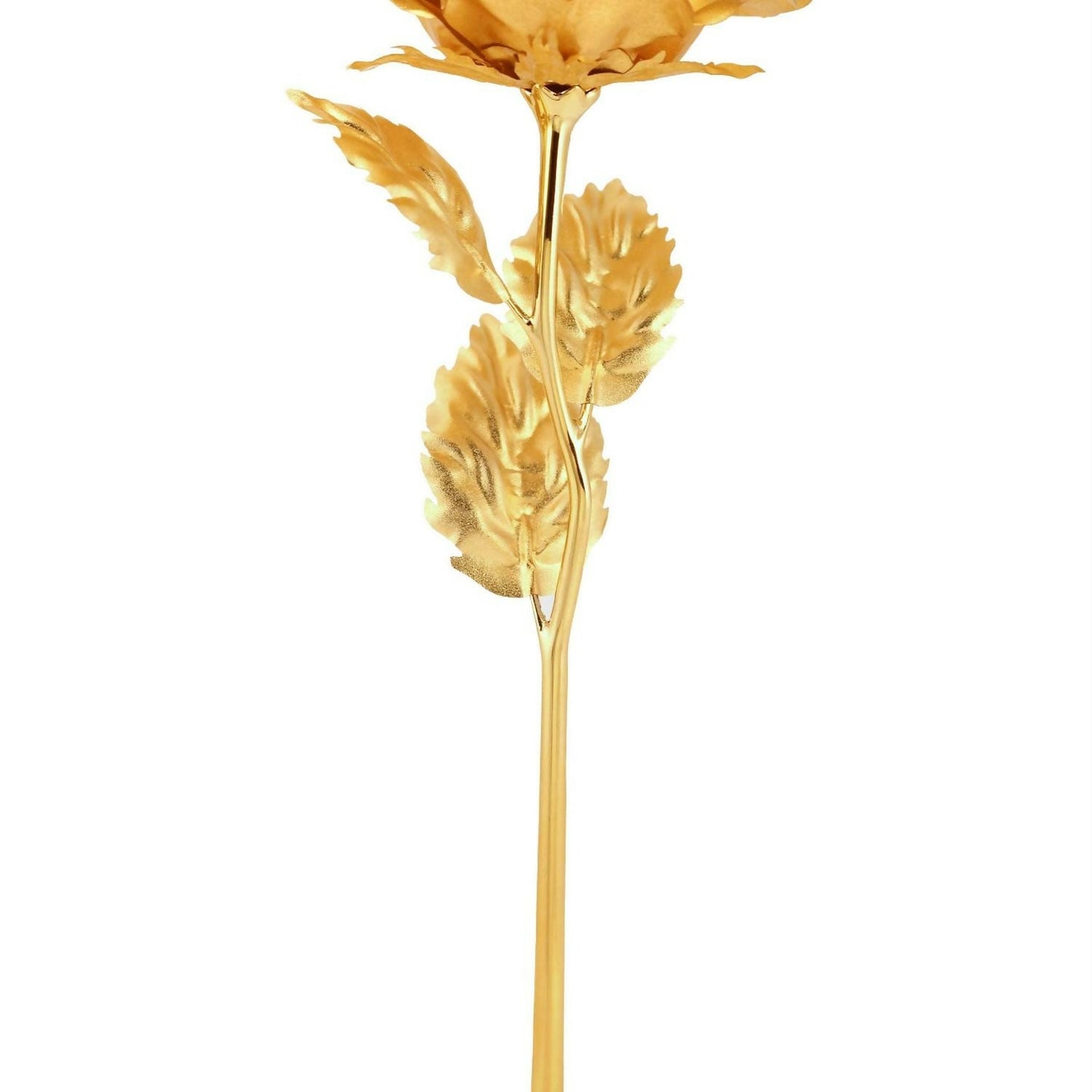 B Golden Rose is perfect for decorating homes, offices, cafes (3 Pc Set)