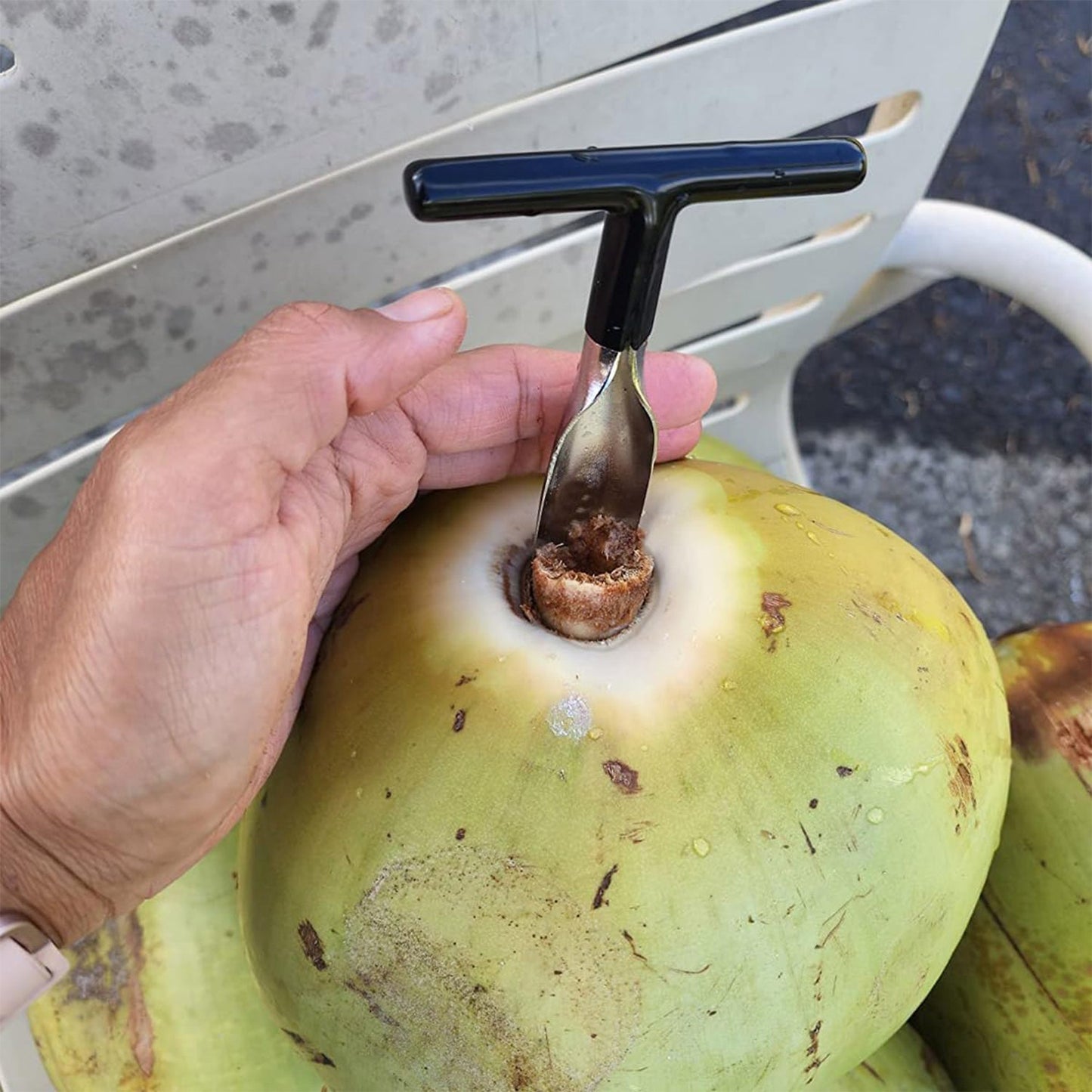 Stainless Steel Coconut Breaker Tool with Comfortable T-Handle (1 Pc)